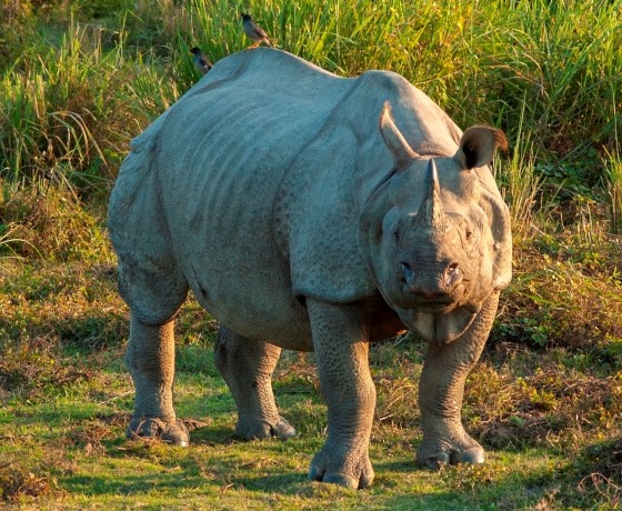 Madhya Pradesh